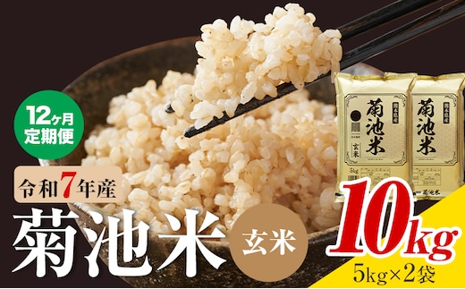 【12ヶ月定期便】熊本県産 菊池米 玄米 10kg 1袋5kg 米 お米 令和7年産 九州産 熊本県産 送料無料《お申込み翌月に出荷予定》玄米 米---026-5046---