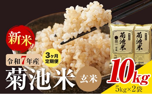 【3ヶ月定期便】熊本県産 菊池米 玄米 10kg 1袋5kg 米 お米 令和7年産 九州産 熊本県産 送料無料《お申込み翌月に出荷予定》玄米 米---026-5044---
