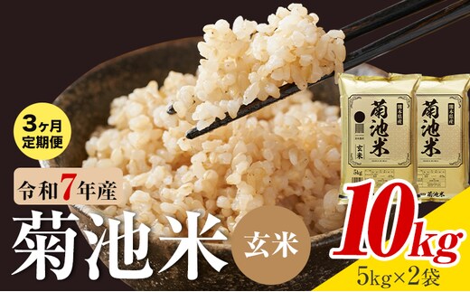 【3ヶ月定期便】熊本県産 菊池米 玄米 10kg 1袋5kg 米 お米 令和7年産 九州産 熊本県産 送料無料《お申込み翌月に出荷予定》玄米 米---026-5044---