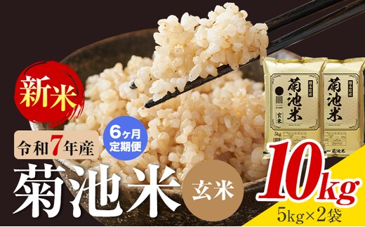 【6ヶ月定期便】熊本県産 菊池米 玄米 10kg 1袋5kg 米 お米 令和7年産 九州産 熊本県産 送料無料《お申込み翌月に出荷予定》玄米 米---026-5045---