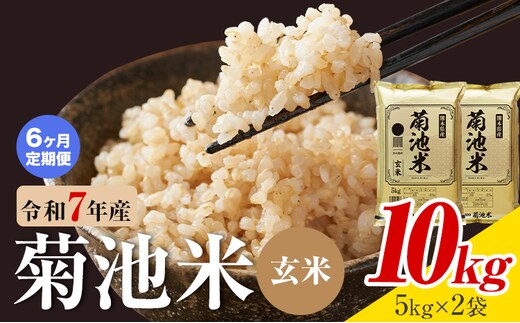 【6ヶ月定期便】熊本県産 菊池米 玄米 10kg 1袋5kg 米 お米 令和7年産 九州産 熊本県産 送料無料《お申込み翌月に出荷予定》玄米 米---026-5045---
