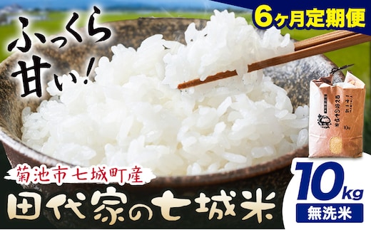 【6ヶ月定期便 】令和7年産 菊池市七城町産 田代家の七城米 七城ヒノヒカリ 無洗米 10kg 田代こめや《お申込み翌月から出荷》熊本県 菊池市 米 お米 精米 ひのひかり 菊池市産 熊本県産 九州産 送料無料---323-5033---