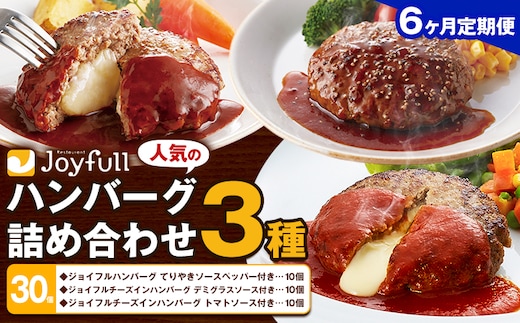 【6ヶ月定期便】ジョイフルハンバーグ 人気の詰め合わせ 30個 生ハンバーグ チーズインハンバーグ 1個120g ソース付き 食べ比べ 3種類 セット 牛肉 ジョイフル 焼くだけ ハンバーグ 惣菜 おかず 冷凍 送料無料《お申込み翌月から出荷》---077-3049---