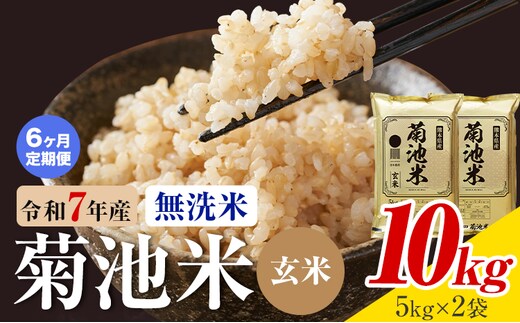 【6ヶ月定期便】熊本県産 菊池米 玄米 無洗米 10kg 1袋5kg 米 お米 令和7年産 九州産 熊本県産 送料無料《お申込み翌月に出荷予定》玄米 米---026-3120mo6---