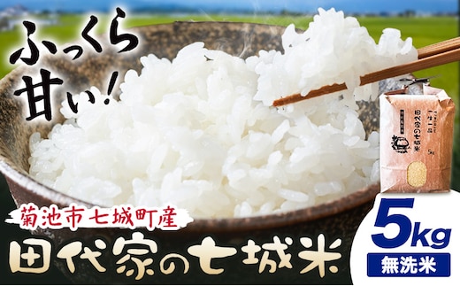 令和7年産 菊池市七城町産 田代家の七城米 七城ヒノヒカリ無洗米 5kg 田代こめや《30日以内に出荷予定(土日祝除く)》熊本県 菊池市 米 お米 精米 ひのひかり 菊池市産 熊本県産 九州産 送料無料---323-5008---