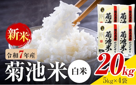 令和7年産 熊本県産 菊池米 白米 20kg 1袋5kg 株式会社くまもとごはん 《30日以内に出荷予定(土日祝除く)》米 お米 令和7年産 九州産 熊本県産 送料無料---026-5035---