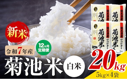 【12ヶ月定期便】熊本県産 菊池米 白米 20kg 1袋5kg 米 お米 令和7年産 九州産 熊本県産 送料無料《お申込み翌月に出荷予定》 白米 米---026-5038---