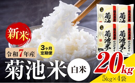 【3ヶ月定期便】熊本県産 菊池米 白米 20kg 1袋5kg 米 お米 令和7年産 九州産 熊本県産 送料無料《お申込み翌月に出荷予定》 白米 米---026-5036---