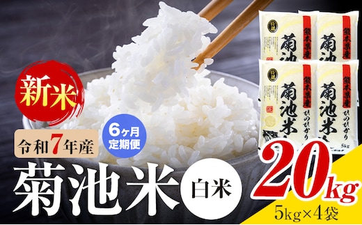 【6ヶ月定期便】熊本県産 菊池米 白米 20kg 1袋5kg 米 お米 令和7年産 九州産 熊本県産 送料無料《お申込み翌月に出荷予定》 白米 米---026-5037---