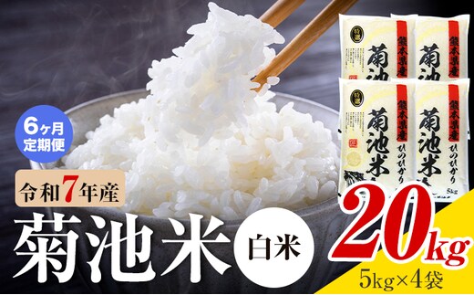 【6ヶ月定期便】熊本県産 菊池米 白米 20kg 1袋5kg 米 お米 令和7年産 九州産 熊本県産 送料無料《お申込み翌月に出荷予定》 白米 米---026-5037---