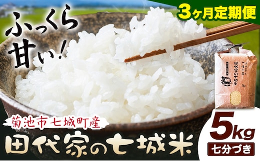 【3ヶ月定期便】令和7年産 菊池市七城町産 田代家の七城米 七城ヒノヒカリ 七分づき 5kg 田代こめや《お申込み翌月から出荷》熊本県 菊池市 米 お米 精米 ひのひかり 菊池市産 熊本県産 九州産 送料無料---323-5023---