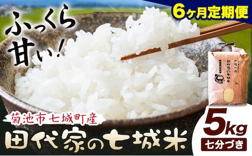 【6ヶ月定期便】令和7年産 菊池市七城町産 田代家の七城米 七城ヒノヒカリ 七分づき 5kg 田代こめや《お申込み翌月から出荷》熊本県 菊池市 米 お米 精米 ひのひかり 菊池市産 熊本県産 九州産 送料無料---323-5035---