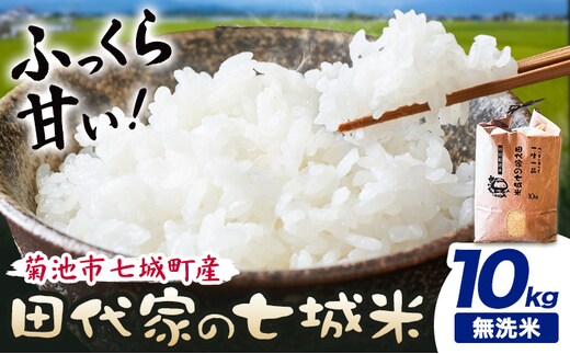 令和7年産 菊池市七城町産 田代家の七城米 七城ヒノヒカリ無洗米 10kg 田代こめや《30日以内に出荷予定(土日祝除く)》熊本県 菊池市 米 お米 精米 ひのひかり 菊池市産 熊本県産 九州産 送料無料---323-5009---