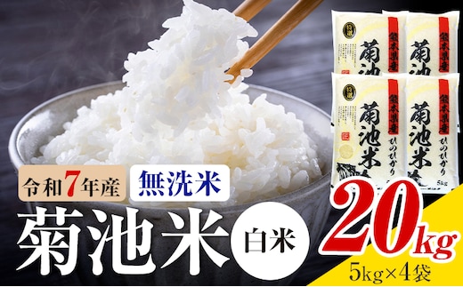 令和7年産 熊本県産 菊池米 白米 無洗米 20kg 1袋5kg 株式会社くまもとごはん 《30日以内に出荷予定(土日祝除く)》米 お米 令和7年産 九州産 熊本県産 送料無料---026-3076---