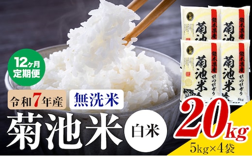 【12ヶ月定期便】熊本県産 菊池米 白米 無洗米 20kg 1袋5kg 米 お米 令和7年産 九州産 熊本県産 送料無料《お申込み翌月に出荷予定》 白米 米---026-3097mo12---