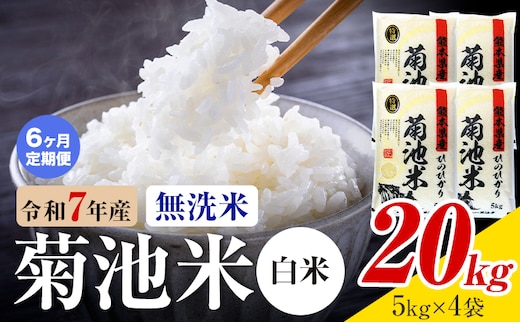 【6ヶ月定期便】熊本県産 菊池米 白米 無洗米 20kg 1袋5kg 米 お米 令和7年産 九州産 熊本県産 送料無料《お申込み翌月に出荷予定》 白米 米---026-3094mo6---
