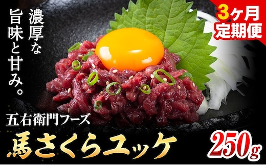 【3ヶ月定期便】馬肉 馬さくらユッケ 250g×3回 合計750g 五右衛門フーズ 《お申込み翌月から出荷》 熊本県 菊池市 馬肉 肉 国産 馬 さくら ユッケ 小分け---187-2319---