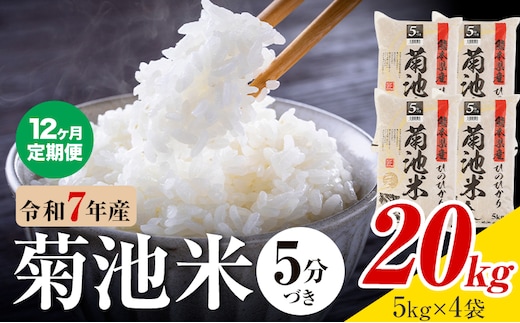 【12ヶ月定期便】令和7年産 熊本県産 菊池米 5分づき 20kg 1袋5kg 株式会社くまもとごはん 《お申込み翌月に出荷予定》米 お米 令和7年産 九州産 熊本県産 送料無料---026-3133mo12---