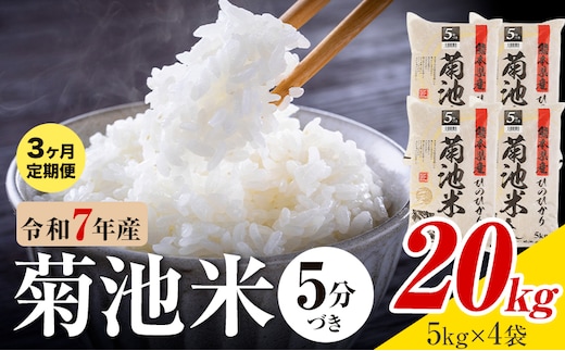 【3ヶ月定期便】令和7年産 熊本県産 菊池米 5分づき 20kg 1袋5kg 株式会社くまもとごはん 《お申込み翌月に出荷予定》米 お米 令和7年産 九州産 熊本県産 送料無料---026-3127mo3---