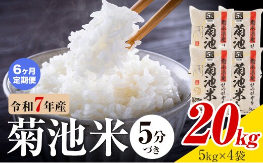【6ヶ月定期便】令和7年産 熊本県産 菊池米 5分づき 20kg 1袋5kg 株式会社くまもとごはん 《お申込み翌月に出荷予定》米 お米 令和7年産 九州産 熊本県産 送料無料---026-3130mo6---