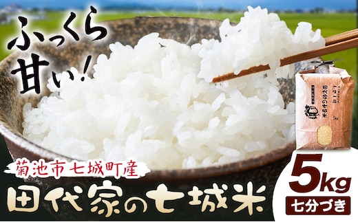 令和7年産 菊池市七城町産 田代家の七城米 七城ヒノヒカリ 七分づき 5kg 田代こめや《30日以内に出荷予定(土日祝除く)》熊本県 菊池市 米 お米 精米 ひのひかり 菊池市産 熊本県産 九州産 送料無料---323-5011---