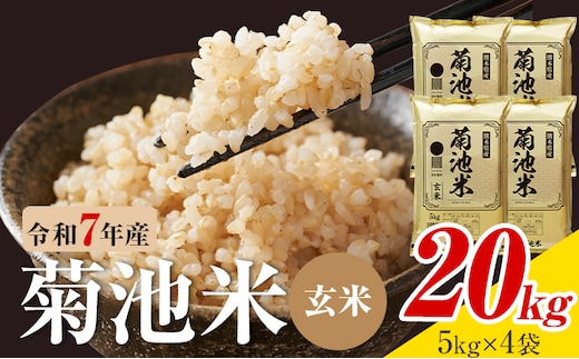 令和7年産 熊本県産 菊池米 玄米 20kg 1袋5kg 株式会社くまもとごはん 《30日以内に出荷予定(土日祝除く)》米 お米 令和7年産 九州産 熊本県産 送料無料---026-5047---
