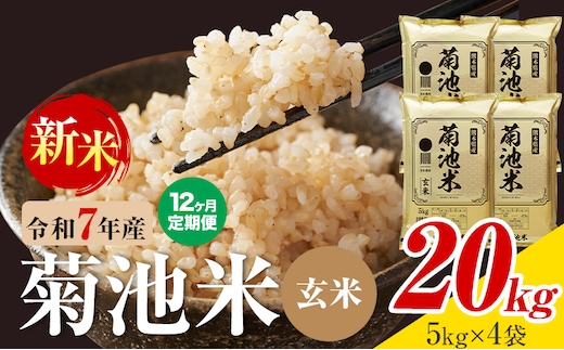 【12ヶ月定期便】熊本県産 菊池米 玄米 20kg 1袋5kg 米 お米 令和7年産 九州産 熊本県産 送料無料《お申込み翌月に出荷予定》玄米 米---026-5050---
