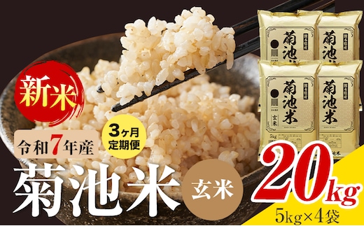 【3ヶ月定期便】熊本県産 菊池米 玄米 20kg 1袋5kg 米 お米 令和7年産 九州産 熊本県産 送料無料《お申込み翌月に出荷予定》玄米 米---026-5048---