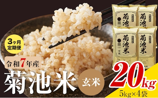【3ヶ月定期便】熊本県産 菊池米 玄米 20kg 1袋5kg 米 お米 令和7年産 九州産 熊本県産 送料無料《お申込み翌月に出荷予定》玄米 米---026-5048---