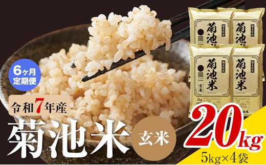【6ヶ月定期便】熊本県産 菊池米 玄米 20kg 1袋5kg 米 お米 令和7年産 九州産 熊本県産 送料無料《お申込み翌月に出荷予定》玄米 米---026-5049---