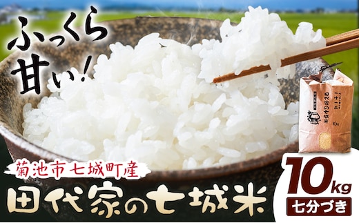 令和7年産 菊池市七城町産 田代家の七城米 七城ヒノヒカリ 七分づき 10kg 田代こめや《30日以内に出荷予定(土日祝除く)》熊本県 菊池市 米 お米 精米 ひのひかり 菊池市産 熊本県産 九州産 送料無料---323-5012---
