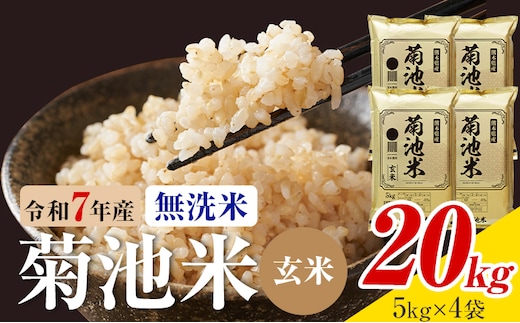 令和7年産 熊本県産 菊池米 無洗米 玄米 20kg 1袋5kg 株式会社くまもとごはん 《30日以内に出荷予定(土日祝除く)》米 お米 令和7年産 九州産 熊本県産 送料無料---026-3088---
