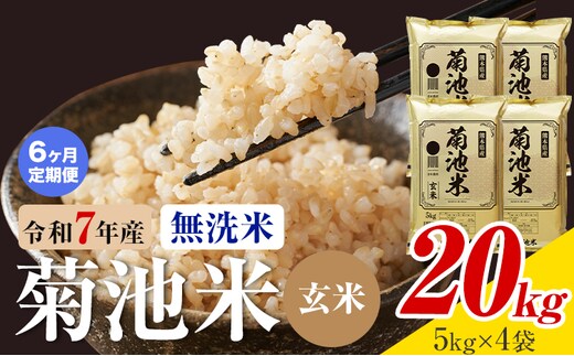 【6ヶ月定期便】熊本県産 菊池米 玄米 無洗米 20kg 1袋5kg 米 お米 令和7年産 九州産 熊本県産 送料無料《お申込み翌月に出荷予定》玄米 米---026-3121mo6---