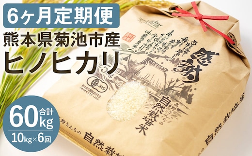 【通常パッケージ】令和7年産【定期便6ヶ月】七城物語 高野さんちの 自然栽培米 （精米） 10kg （2.5kg×4パック） 合計60kg お米 米 精米 白米 ヒノヒカリ《お申込みの翌月から出荷予定》---045-3017---