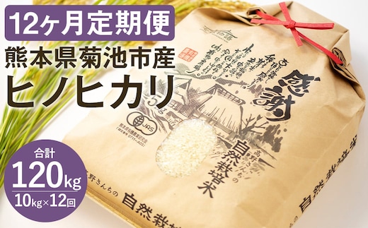 【通常パッケージ】令和7年産【定期便12ヶ月】七城物語 高野さんちの 自然栽培米 （精米） 10kg （2.5kg×4パック） 合計120kg お米 米 精米 白米 ヒノヒカリ《お申込みの翌月から出荷予定》---045-3019---