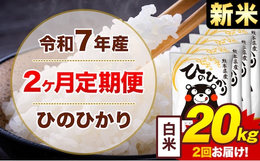 【2ヶ月定期便】米 ひのひかり 白米 定期便 20kg 《お申込み翌月から出荷》熊本県 菊池市 国産 熊本県産 白米 精米 送料無料 ヒノヒカリ こめ お米---300-4290---