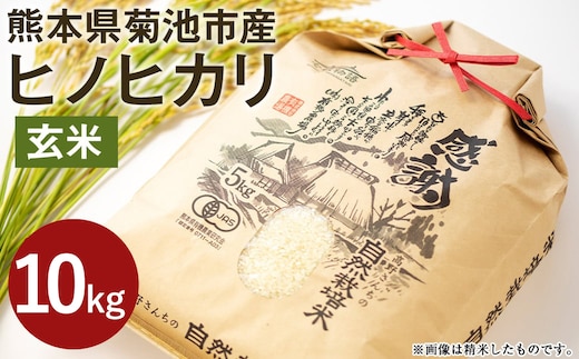 【通常パッケージ】熊本県菊池産 ヒノヒカリ 玄米 計10kg（2.5kg×4パック）七城物語 高野さんちの自然栽培米 米 お米 こめ コメ《30日以内に出荷予定(土日祝除く)》---045-3027---