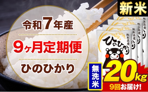 【9ヶ月定期便】米 ひのひかり 無洗米 定期便 20kg 《お申込み翌月から出荷》熊本県 菊池市 国産 熊本県産 無洗米 精米 送料無料 ヒノヒカリ こめ お米---300-4299---