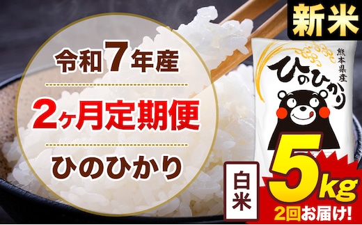 【2ヶ月定期便】米 ひのひかり 白米 定期便 5kg 《お申込み翌月から出荷》熊本県 菊池市 国産 熊本県産 白米 精米 送料無料 ヒノヒカリ こめ お米---300-4284---