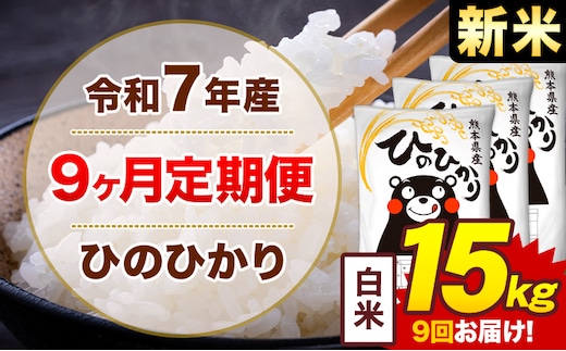 【9ヶ月定期便】米 ひのひかり 白米 定期便 15kg 《お申込み翌月から出荷》熊本県 菊池市 国産 熊本県産 白米 精米 送料無料 ヒノヒカリ こめ お米---300-4296---