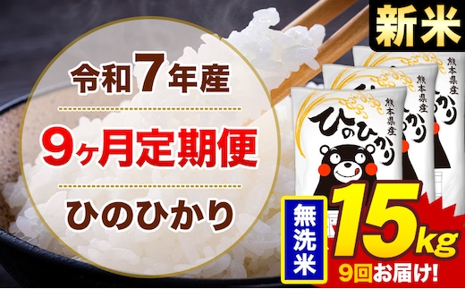 【9ヶ月定期便】米 ひのひかり 無洗米 定期便 15kg 《お申込み翌月から出荷》熊本県 菊池市 国産 熊本県産 無洗米 精米 送料無料 ヒノヒカリ こめ お米---300-4297---