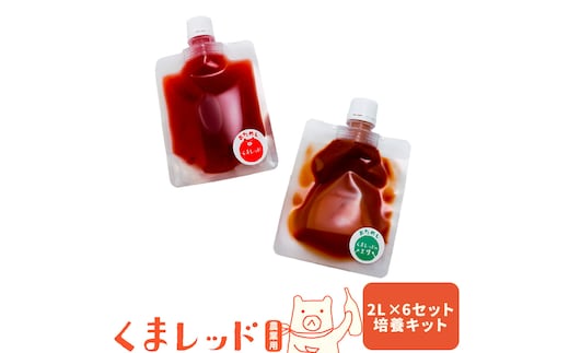光合成細菌くまレッド 農業用 2L培養キット×6セット 株式会社Ciamo 《90日以内に出荷予定(土日祝除く)》熊本県 菊池市 ガーデニング 農業用 観葉植物 家庭菜園---178-2190---