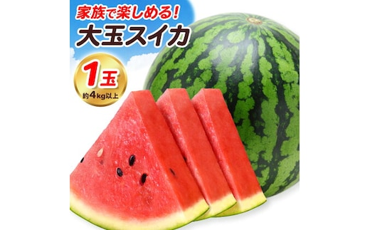 【先行予約】大玉すいか 1玉 約4kg 株式会社エフビーネット《5月上旬-7月中旬頃出荷》熊本県 菊池市 すいか スイカ 大玉 熊本県産 フルーツ---034-5011---