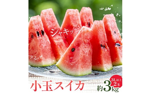 小玉スイカ 3L以上 2玉 計約3kg 株式会社エフビーネット《5月上旬-7月中旬頃出荷》熊本県 菊池市 小玉すいか すいか スイカ 西瓜 果物 フルーツ---034-5012---