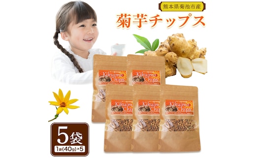 菊芋チップス セット 5袋 40g×5袋 合計 200g チップス 有限会社きくち観光物産館 《90日以内に出荷予定(土日祝除く)》熊本県 菊池市 お菓子 おつまみ おやつ きくいも 菊芋 健康 セット 送料無料---004-0407---