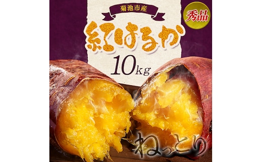 秀品 紅はるか 約10kg S～2L混合 株式会社Foody's 《90日以内に発送予定（土日祝を除く）》熊本県 菊池市 さつまいも 芋 紅蜜芋 焼き芋 野菜 菊池市産 熊本県産 九州産 ---177-2264---