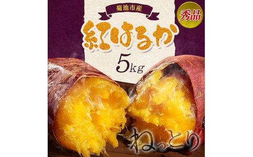 秀品 紅はるか約5kg S～2L混合 株式会社Foody's 《90日以内に発送予定（土日祝を除く）》熊本県 菊池市 さつまいも 芋 紅蜜芋 焼き芋 野菜 菊池市産 熊本県産 九州産 ---177-2263---