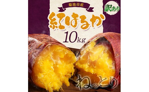 訳あり 紅はるか 約10kg 2S～3L混合 株式会社Foody's 《90日以内に発送予定（土日祝を除く）》熊本県 菊池市 訳あり さつまいも 芋 紅蜜芋 焼き芋 野菜 菊池市産 熊本県産 九州産---177-2261---
