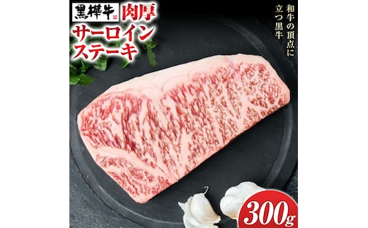 くまもと黒毛和牛 杉本本店 黒樺牛 A4~A5等級 肉厚サーロインステーキ 300g《90日以内に出荷予定(土日祝除く)》---090-1853-R---