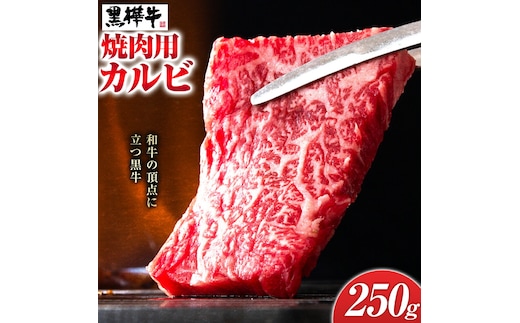 くまもと黒毛和牛 杉本本店 黒樺牛 A4~A5等級 焼肉用カルビ 合計250g《90日以内に出荷予定(土日祝除く)》---090-2457---